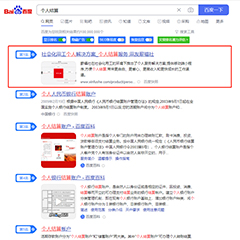 客戶(hù)優(yōu)化排名案例